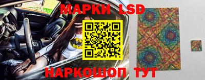 Альфа ПВП Дубна