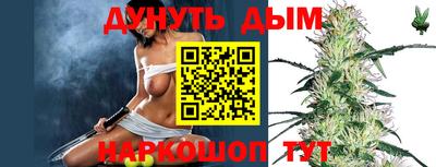 Альфа ПВП Дубна