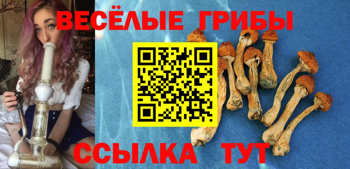 Луховицы  Псилоцибиновые грибы Magic Shrooms  Вход с VPN  Галлюциногенные грибы мицелий 